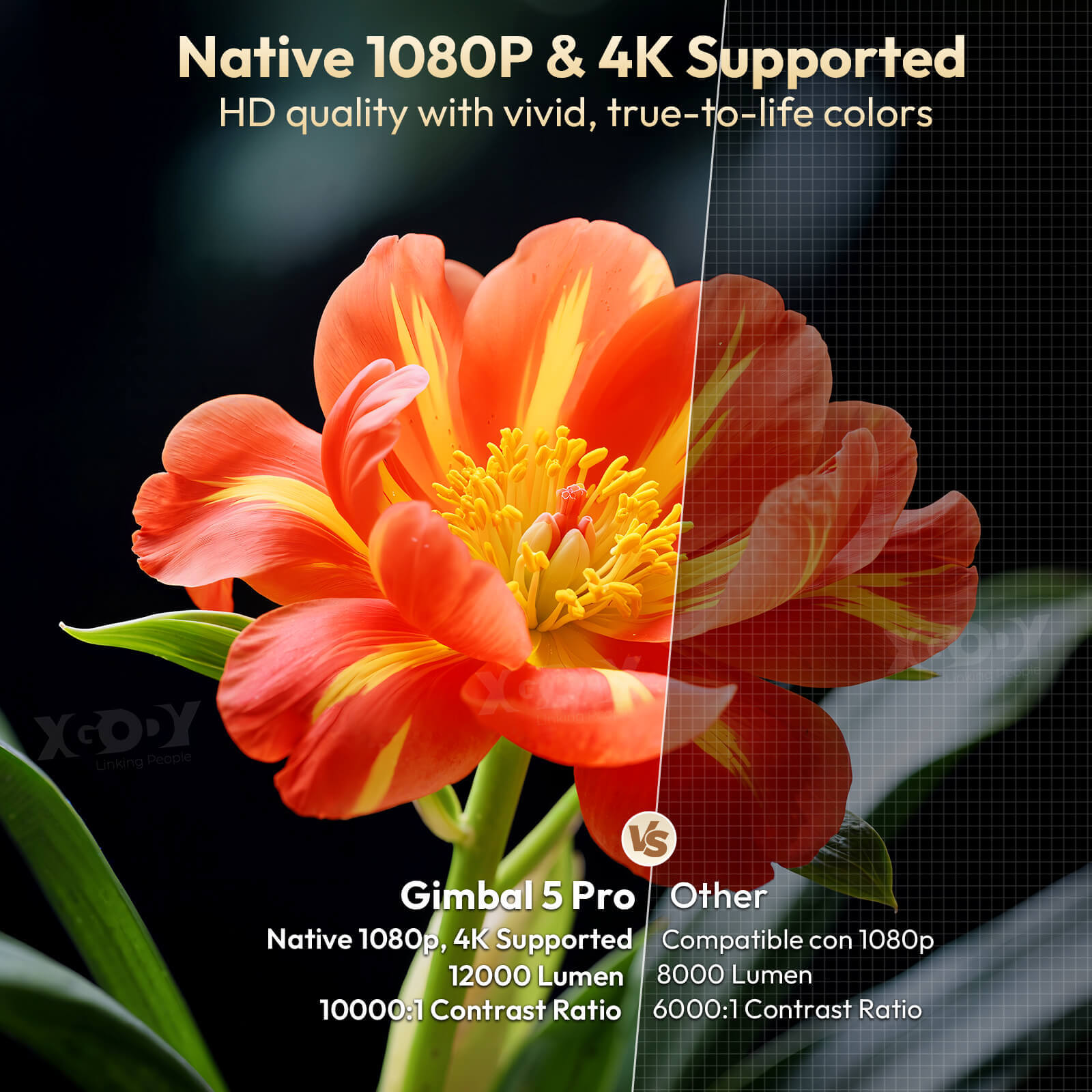 Gimbal 5 PRO: Portable Projector Android 11.0, Native 1080P, WiFi 6 & Bluetooth 5.4 Built-in Stereo Speaker
